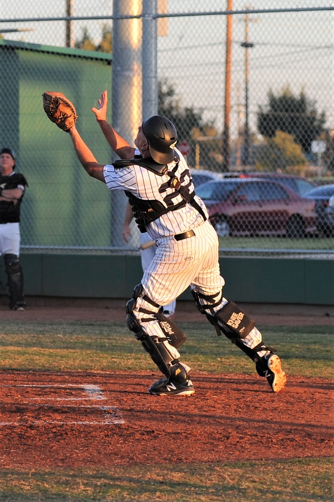 Seals_2019-09-19 (286).JPG - (c)2010 DeVetter